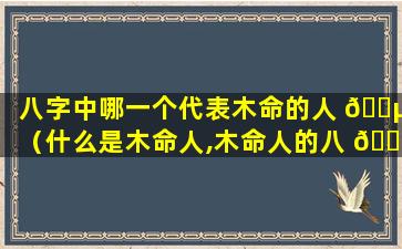 八字中哪一个代表木命的人 🌵 （什么是木命人,木命人的八 🐅 字喜忌）